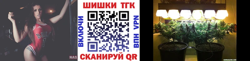 Купить закладки  Новодвинск  Конопля OG Kush 